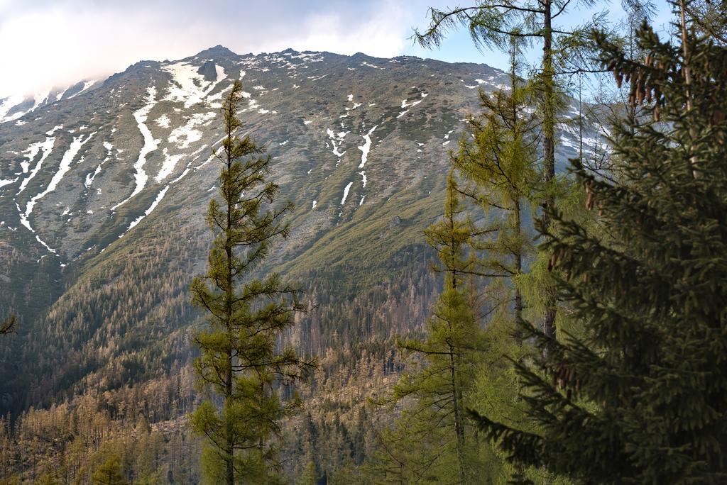 Grand Apartments Hrebienok Vysoké Tatry Dış mekan fotoğraf